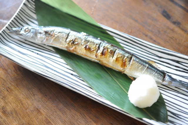 鮫(さめ) | よみもの